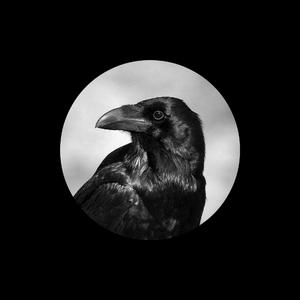 美女全身裸体视频
